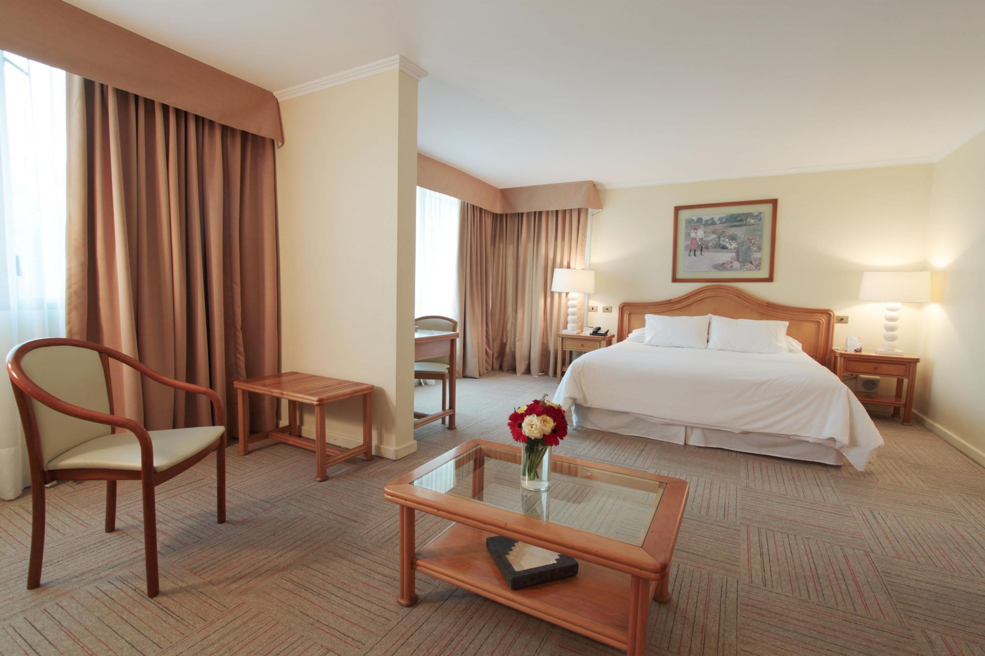 Hotel Torremayor Lyon Santiago del Cile Esterno foto